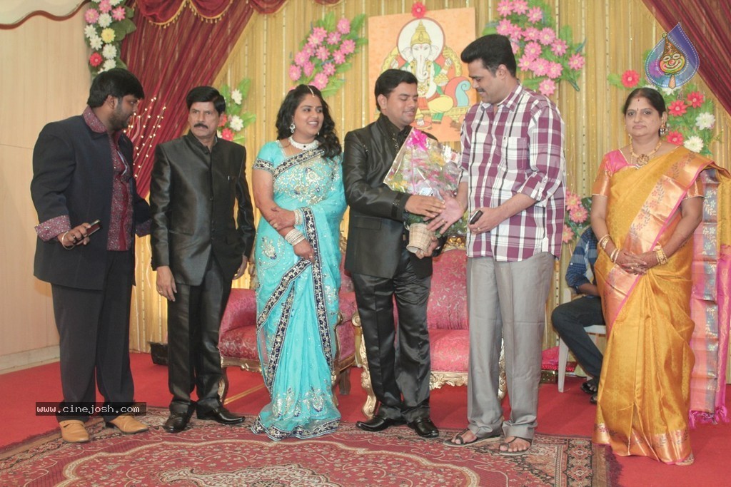 Producer Swaminathan Son Wedding Reception - 52 / 89 photos