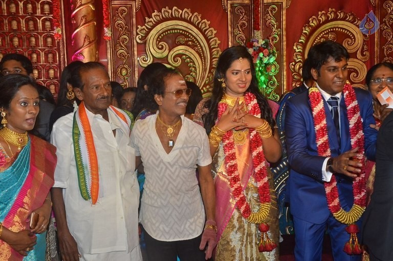 Producer Vinoth Kumar and Sindhu Wedding Reception - 32 / 42 photos