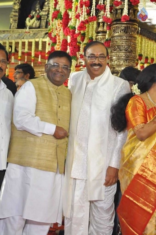 Puskur Rammohan Rao Daughter Wedding Photos - 3 / 47 photos