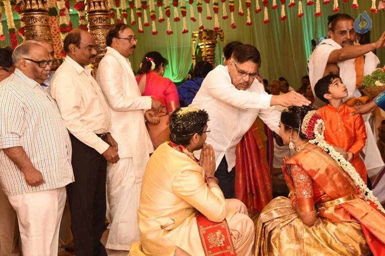 Puskur Rammohan Rao Daughter Wedding Photos - 6 / 47 photos