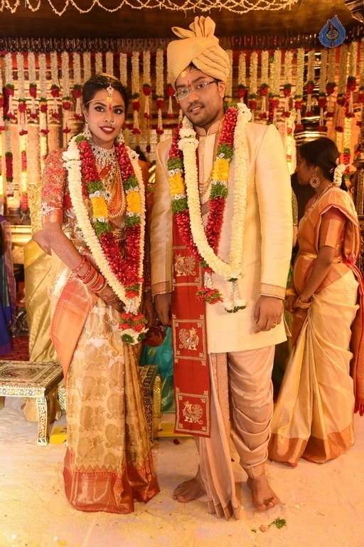 Puskur Rammohan Rao Daughter Wedding Photos - 7 / 47 photos