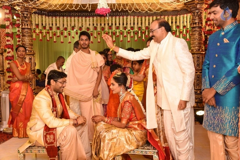 Puskur Rammohan Rao Daughter Wedding Photos - 11 / 47 photos