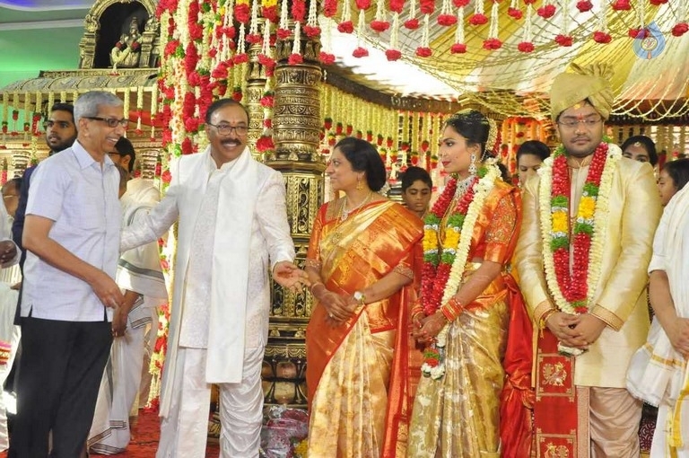 Puskur Rammohan Rao Daughter Wedding Photos - 26 / 47 photos