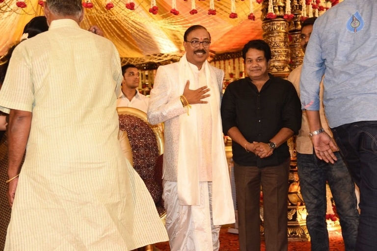 Puskur Rammohan Rao Daughter Wedding Photos - 47 / 47 photos