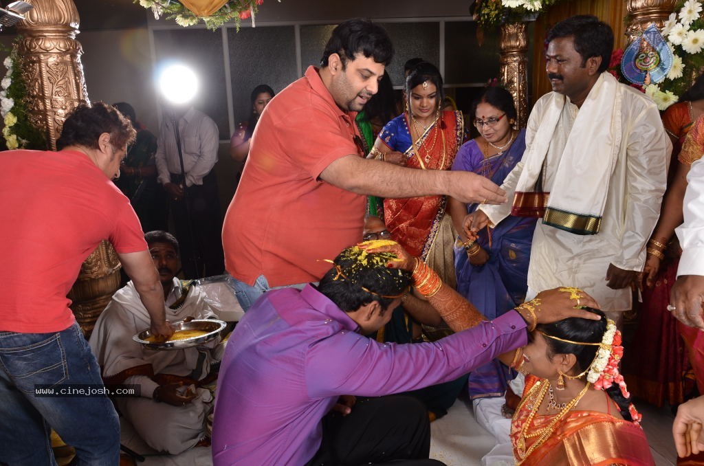 Raghavendra Reddy Daughter Marriage Photos - 11 / 17 photos