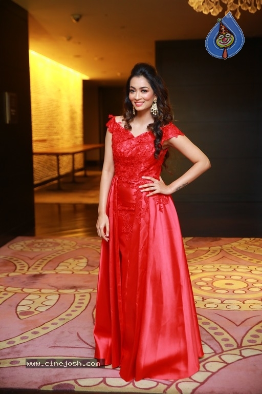 Rashmi Thakur Birthday Celebrations At Park Hyatt - 27 / 39 photos