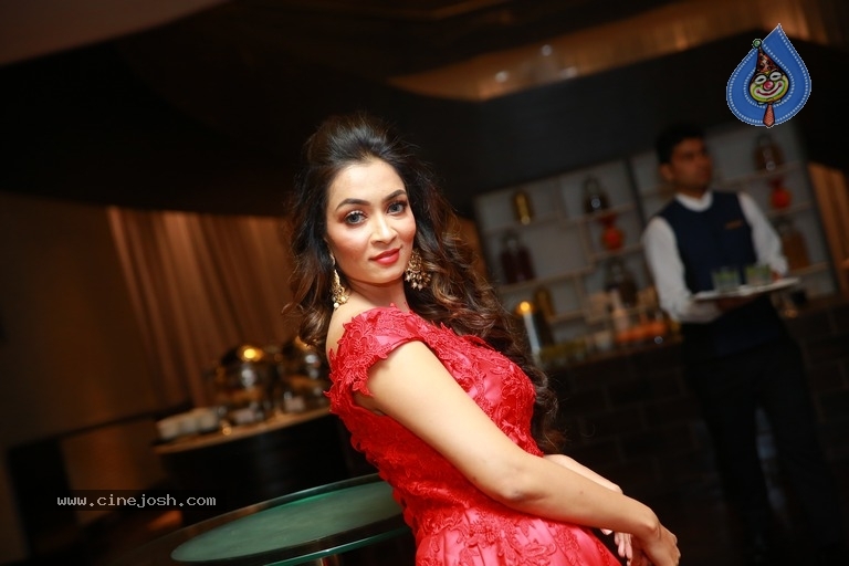 Rashmi Thakur Birthday Celebrations At Park Hyatt - 35 / 39 photos