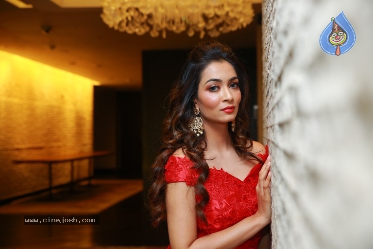 Rashmi Thakur Birthday Celebrations At Park Hyatt - 38 / 39 photos