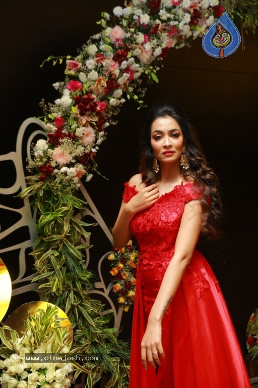 Rashmi Thakur Birthday Celebrations At Park Hyatt - 39 / 39 photos