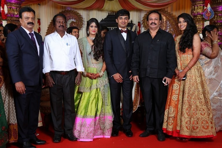 Raviprasad Grand Daughter Wedding Photos - 2 / 34 photos