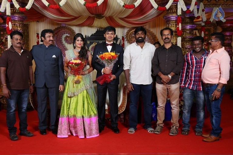 Raviprasad Grand Daughter Wedding Photos - 12 / 34 photos