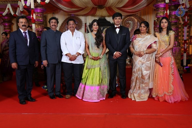 Raviprasad Grand Daughter Wedding Photos - 13 / 34 photos