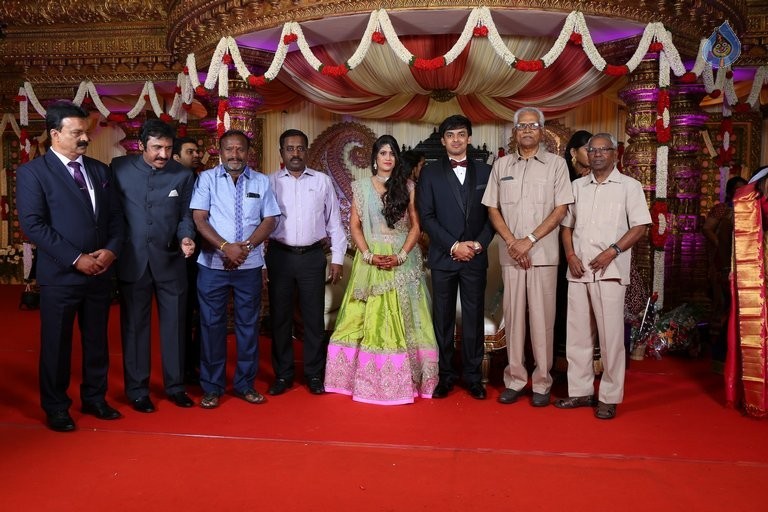 Raviprasad Grand Daughter Wedding Photos - 14 / 34 photos