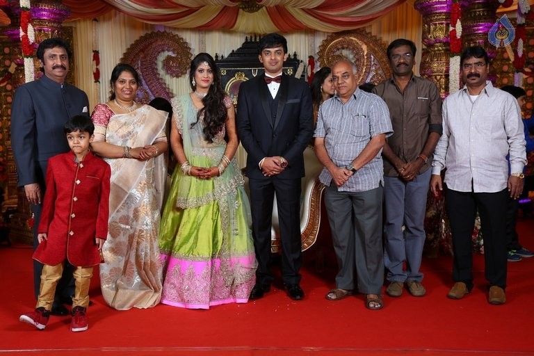 Raviprasad Grand Daughter Wedding Photos - 16 / 34 photos