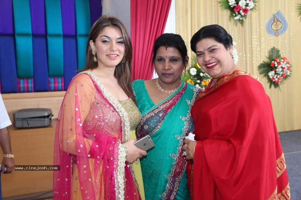 Reporter Anupama Subramanian Son Wedding Reception  - 14 / 107 photos