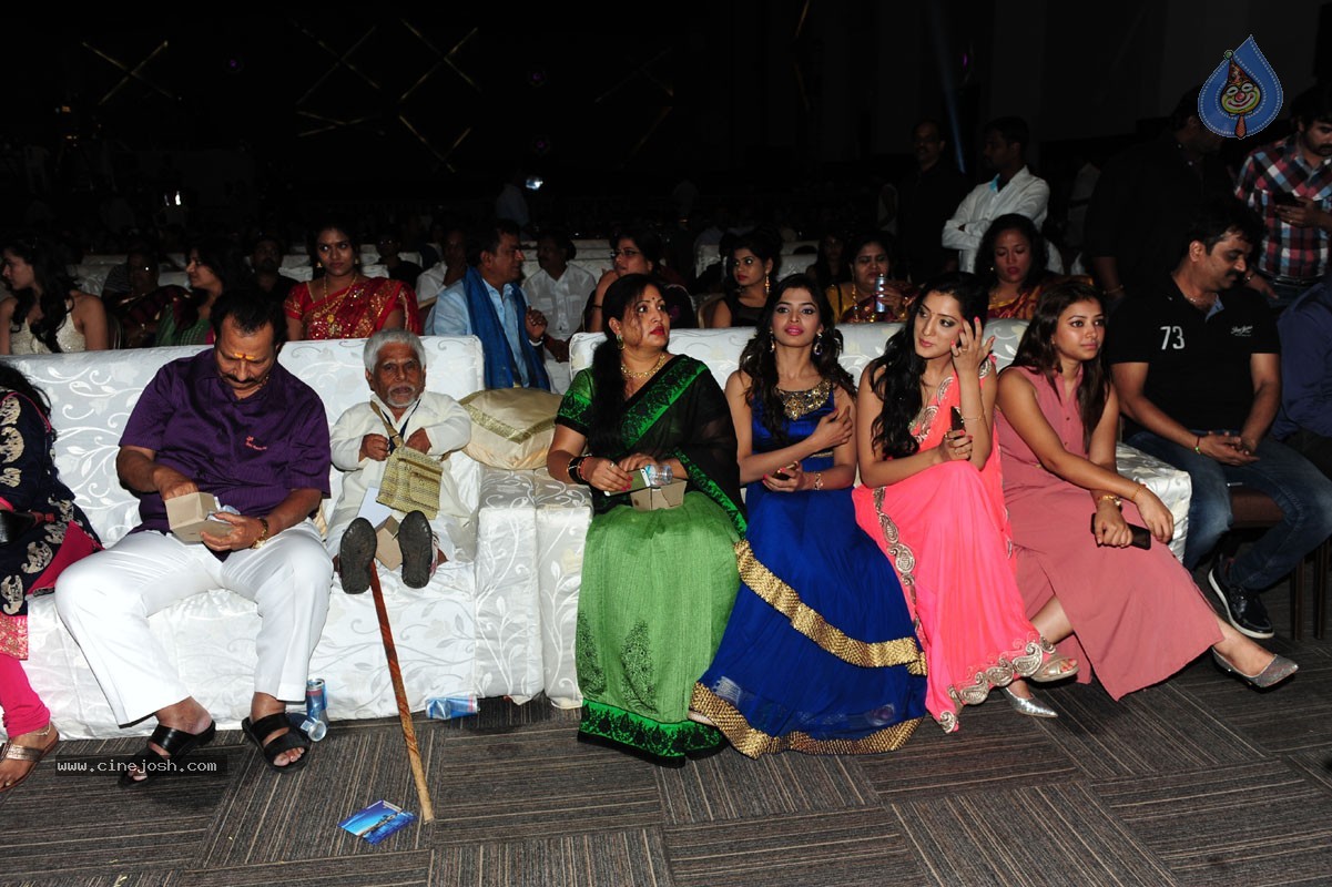 Santosham Film Awards 2014 - 76 / 86 photos