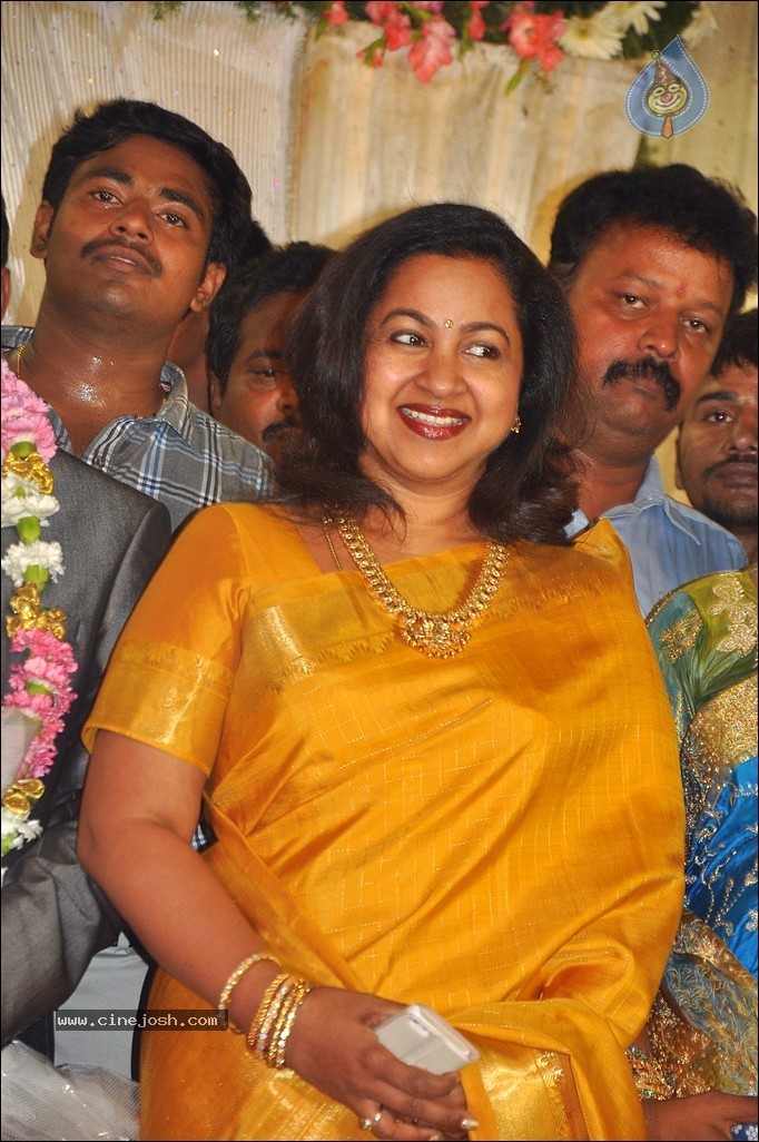 Senthil Son Wedding Reception Photos - 1 / 88 photos