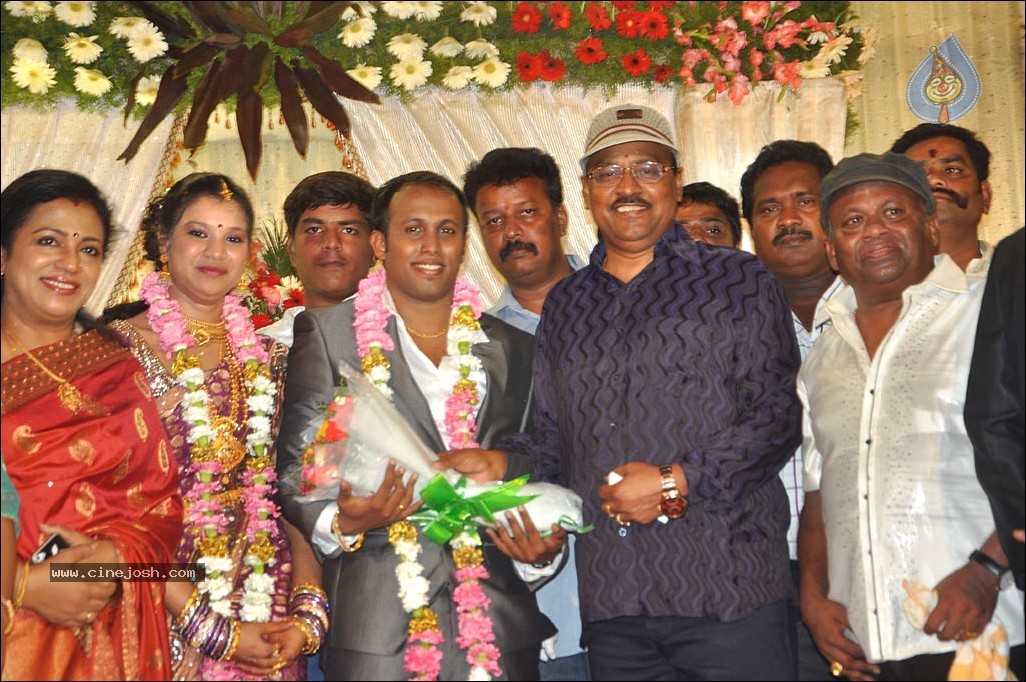 Senthil Son Wedding Reception Photos - 2 / 88 photos