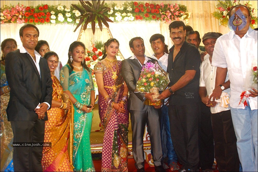 Senthil Son Wedding Reception Photos - 13 / 88 photos