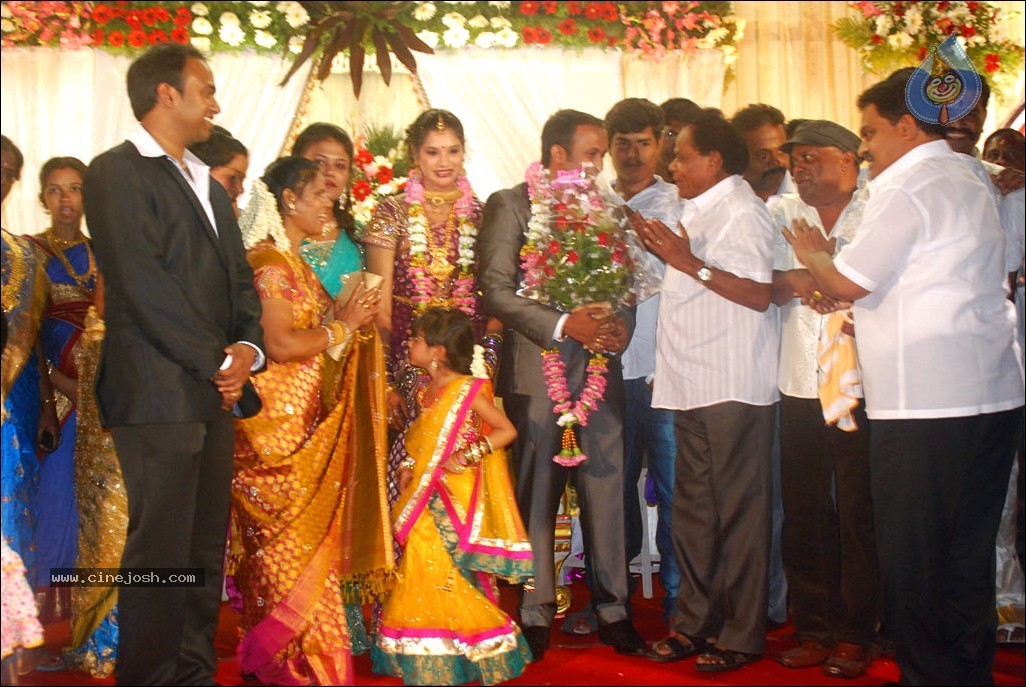 Senthil Son Wedding Reception Photos - 14 / 88 photos