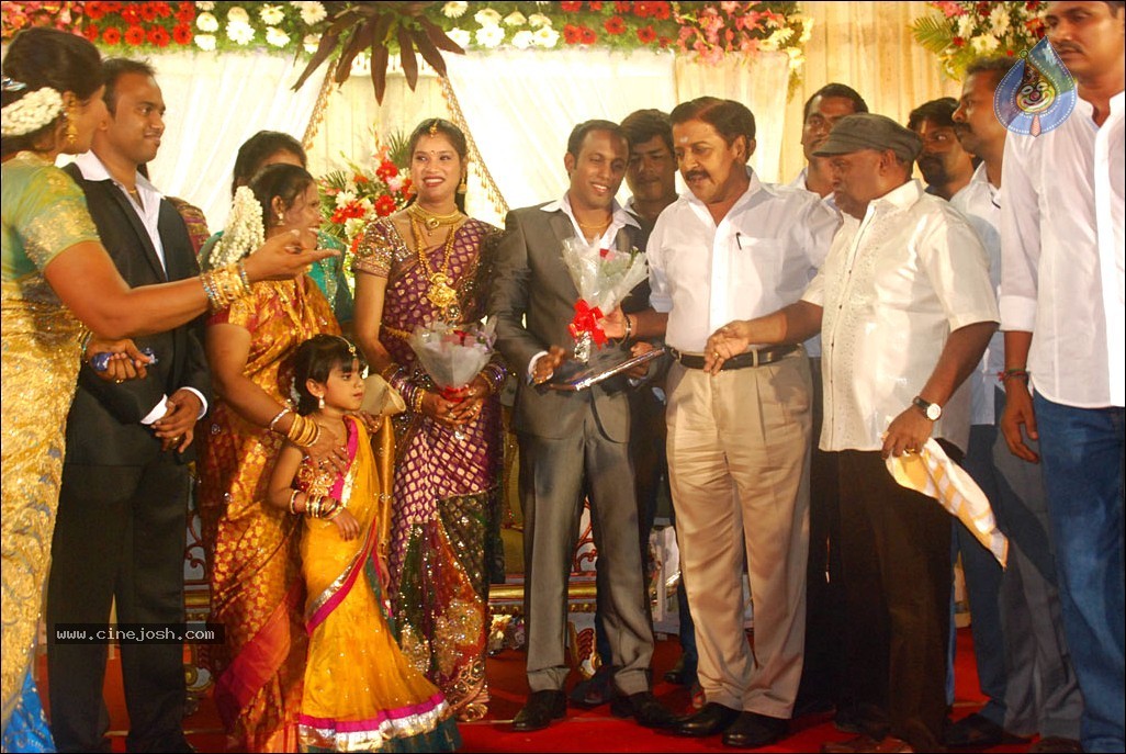 Senthil Son Wedding Reception Photos - 15 / 88 photos