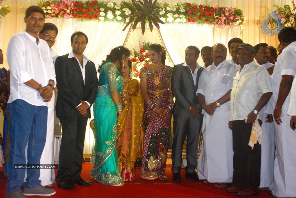 Senthil Son Wedding Reception Photos - 24 / 88 photos