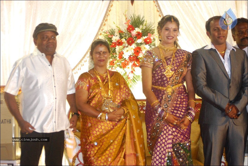 Senthil Son Wedding Reception Photos - 47 / 88 photos