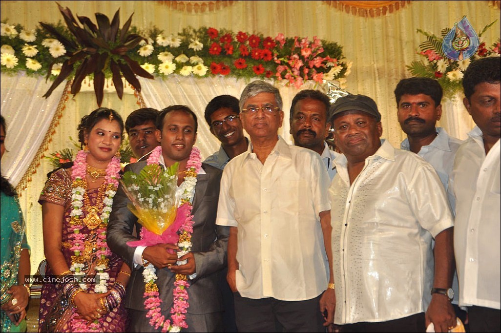 Senthil Son Wedding Reception Photos - 51 / 88 photos