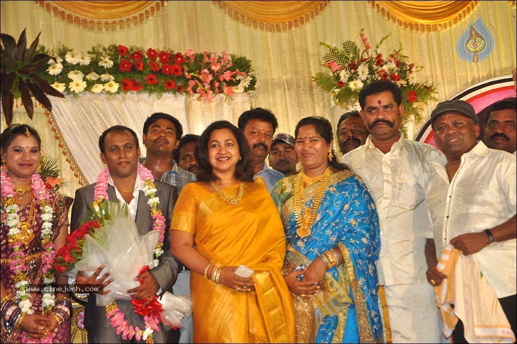 Senthil Son Wedding Reception Photos - 63 / 88 photos