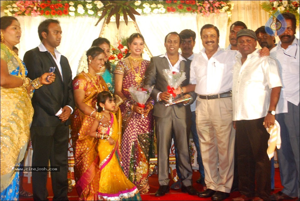 Senthil Son Wedding Reception Photos - 70 / 88 photos