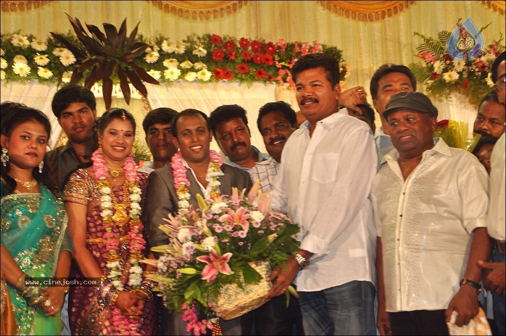 Senthil Son Wedding Reception Photos - 82 / 88 photos