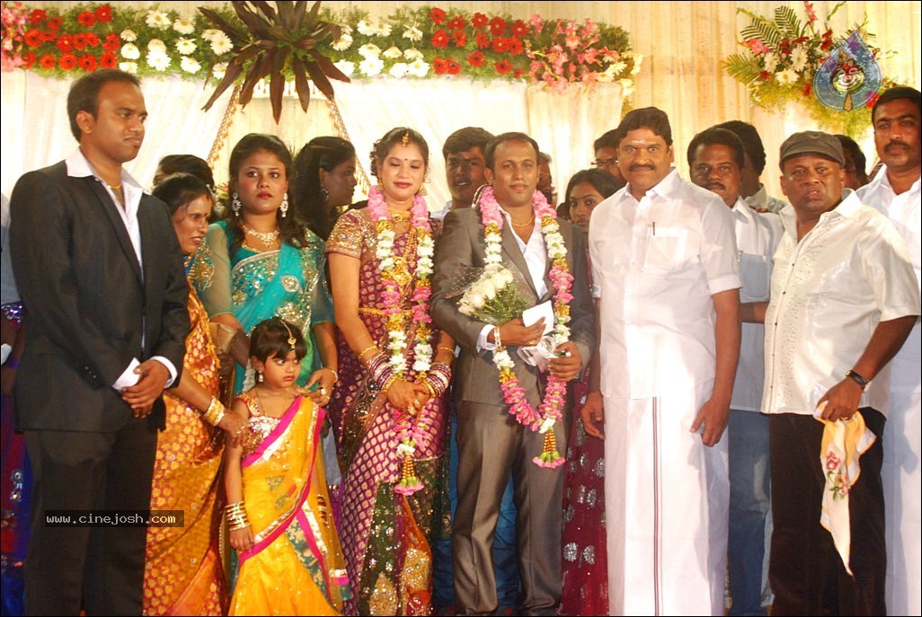Senthil Son Wedding Reception Photos - 84 / 88 photos