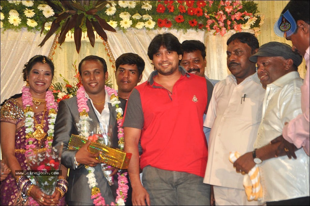 Senthil Son Wedding Reception Photos - 86 / 88 photos