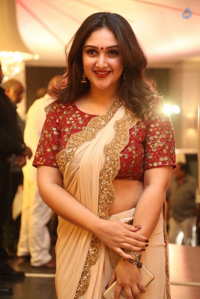 Shyam Prasad Reddy Daughter Wedding Photos 2 - 1 / 119 photos