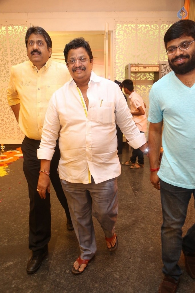 Shyam Prasad Reddy Daughter Wedding Photos 2 - 46 / 119 photos