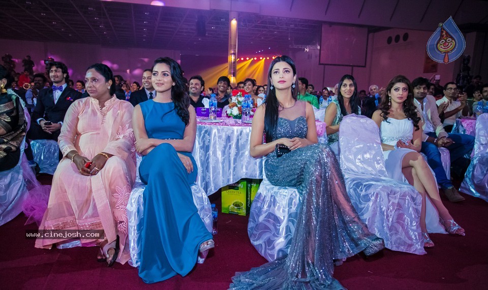 SIIMA 2013 Awards Day2 Photos 01 - 16 / 153 photos