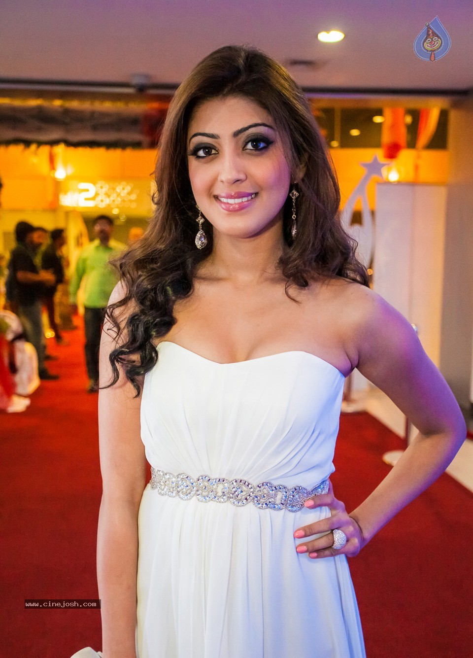 SIIMA 2013 Awards Day2 Photos 01 - 18 / 153 photos