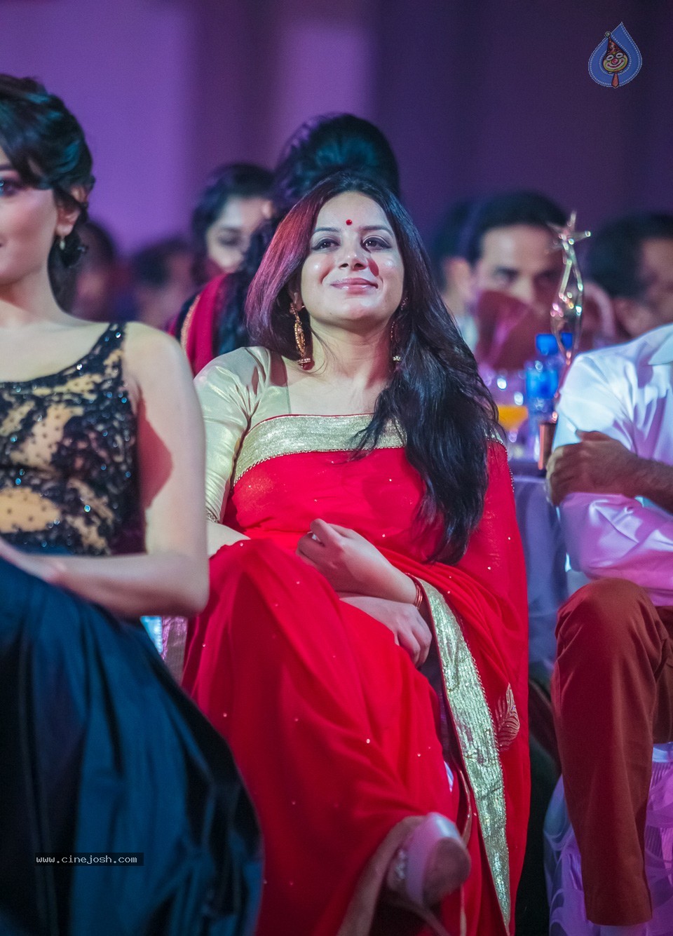 SIIMA 2013 Awards Day2 Photos 01 - 25 / 153 photos