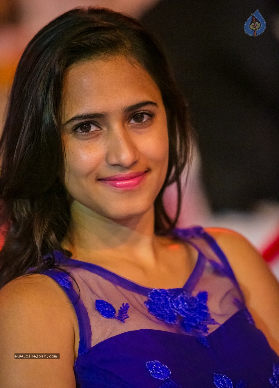 SIIMA 2013 Awards Day2 Photos 01 - 35 / 153 photos