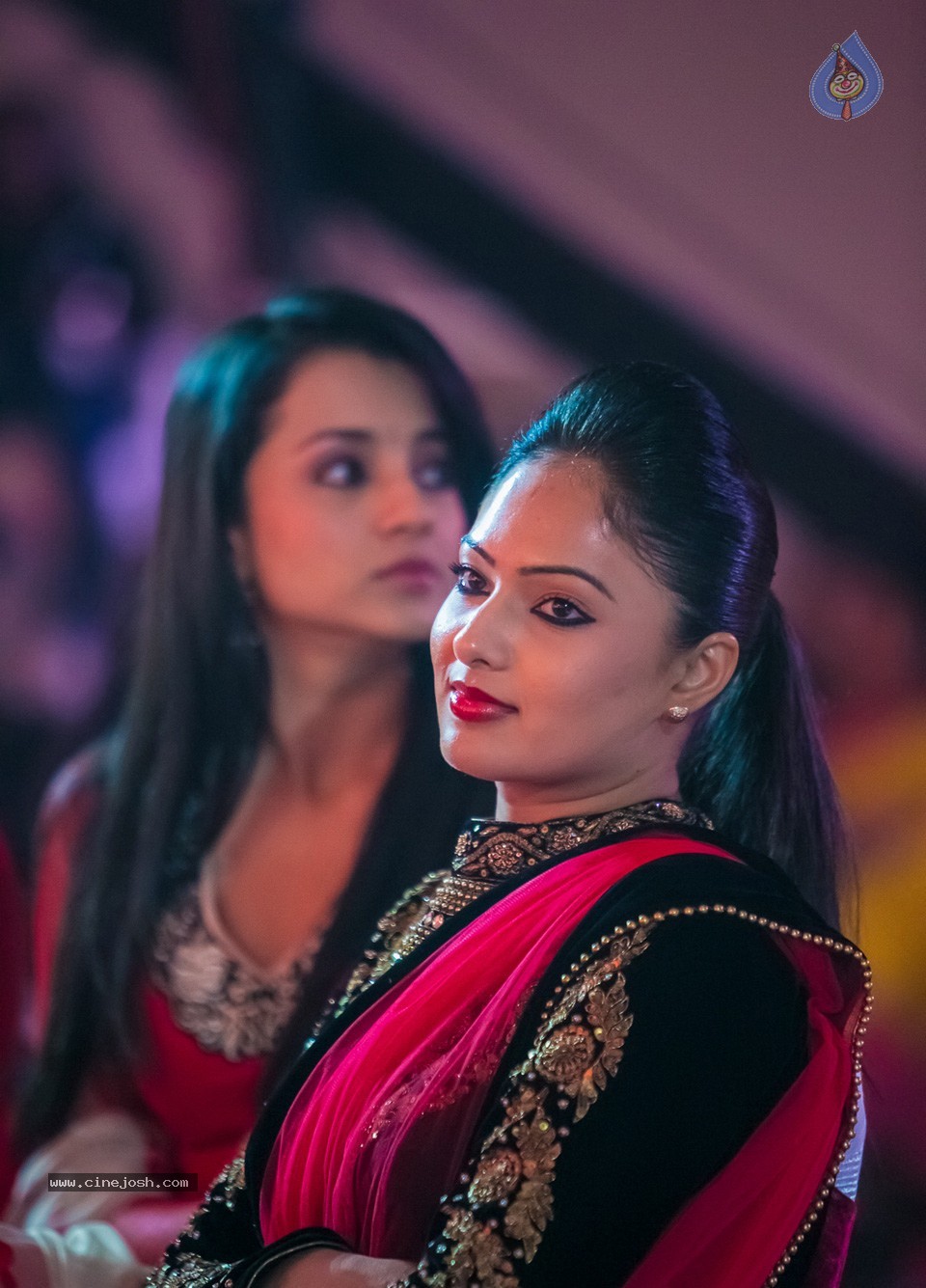 SIIMA 2013 Awards Day2 Photos 01 - 36 / 153 photos