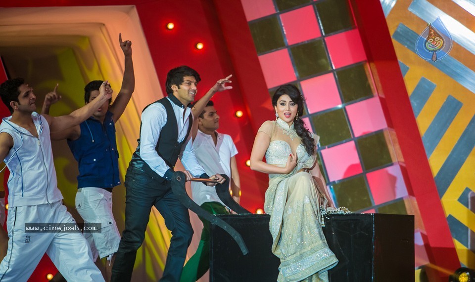 SIIMA 2013 Awards Day2 Photos 02 - 19 / 156 photos