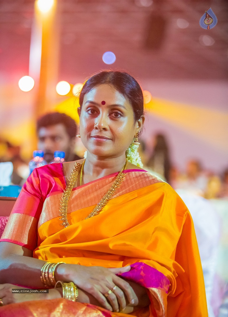 SIIMA 2013 Awards Day2 Photos 02 - 32 / 156 photos