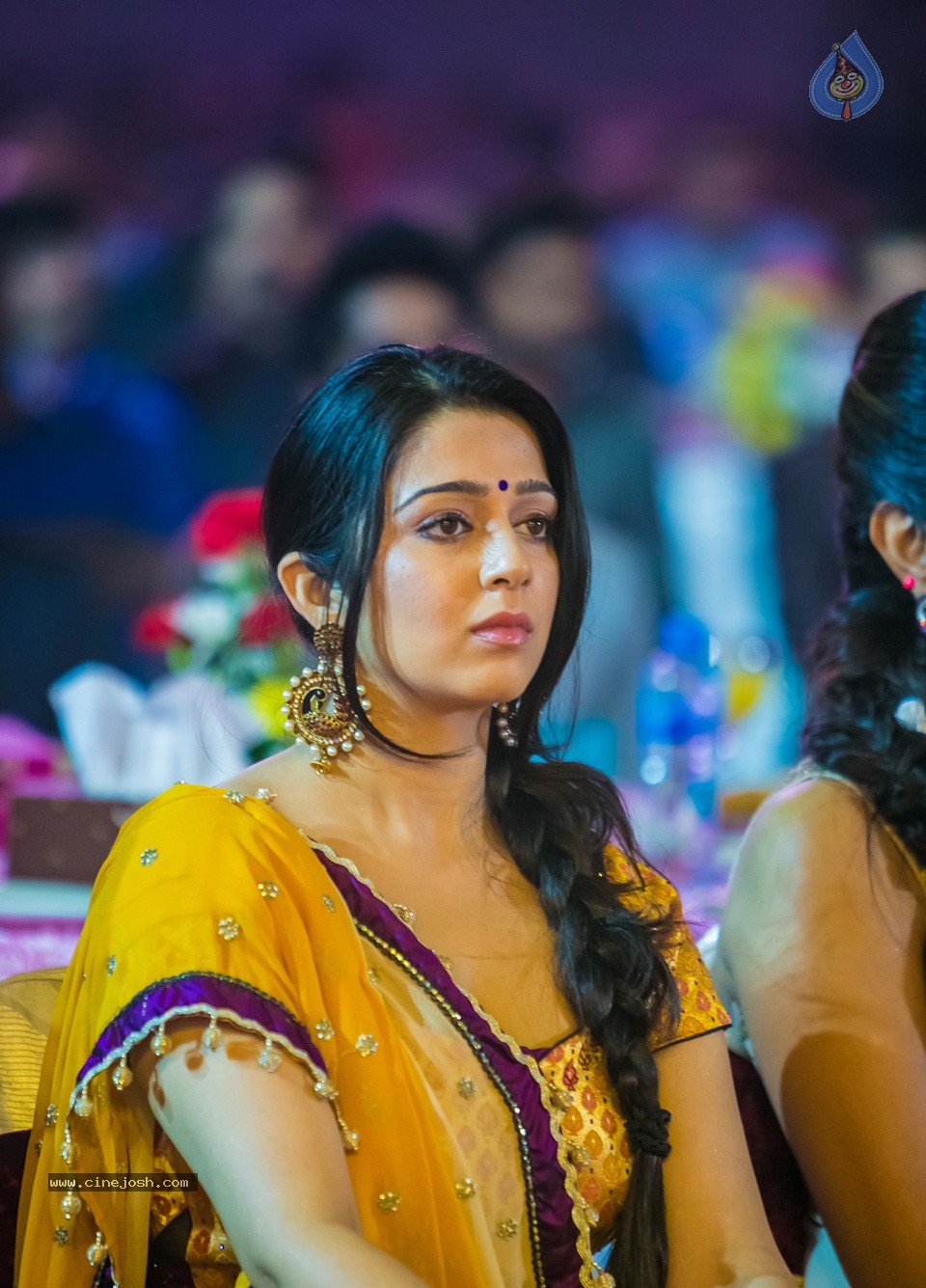 SIIMA 2013 Awards Day2 Photos 02 - 35 / 156 photos