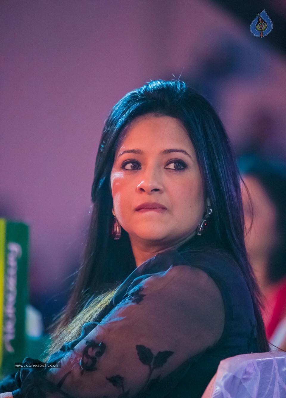 SIIMA 2013 Awards Day2 Photos 02 - 75 / 156 photos