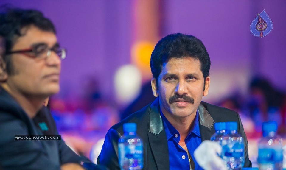 SIIMA 2013 Awards Day2 Photos 02 - 79 / 156 photos