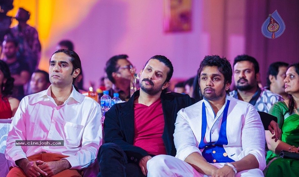 SIIMA 2013 Awards Day2 Photos 02 - 135 / 156 photos