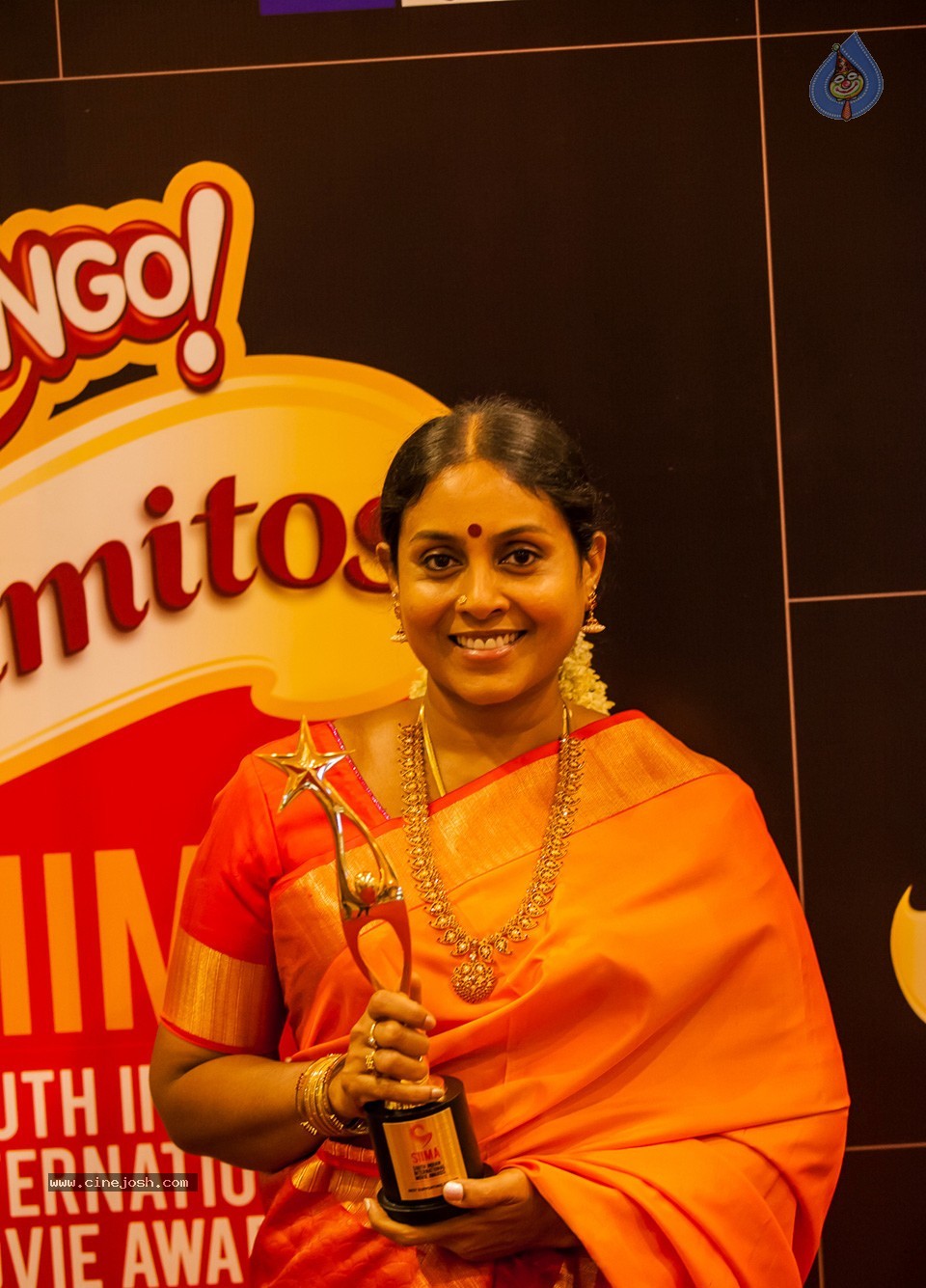 SIIMA 2013 Awards Day2 Photos 02 - 139 / 156 photos
