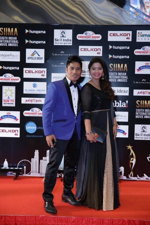 SIIMA 2016 Awards Day 2 - 25 / 32 photos