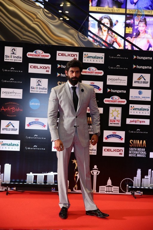 SIIMA 2016 Awards Photos - 8 / 25 photos