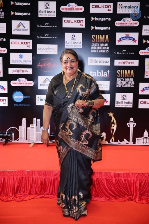 SIIMA 2016 Awards Photos - 22 / 25 photos